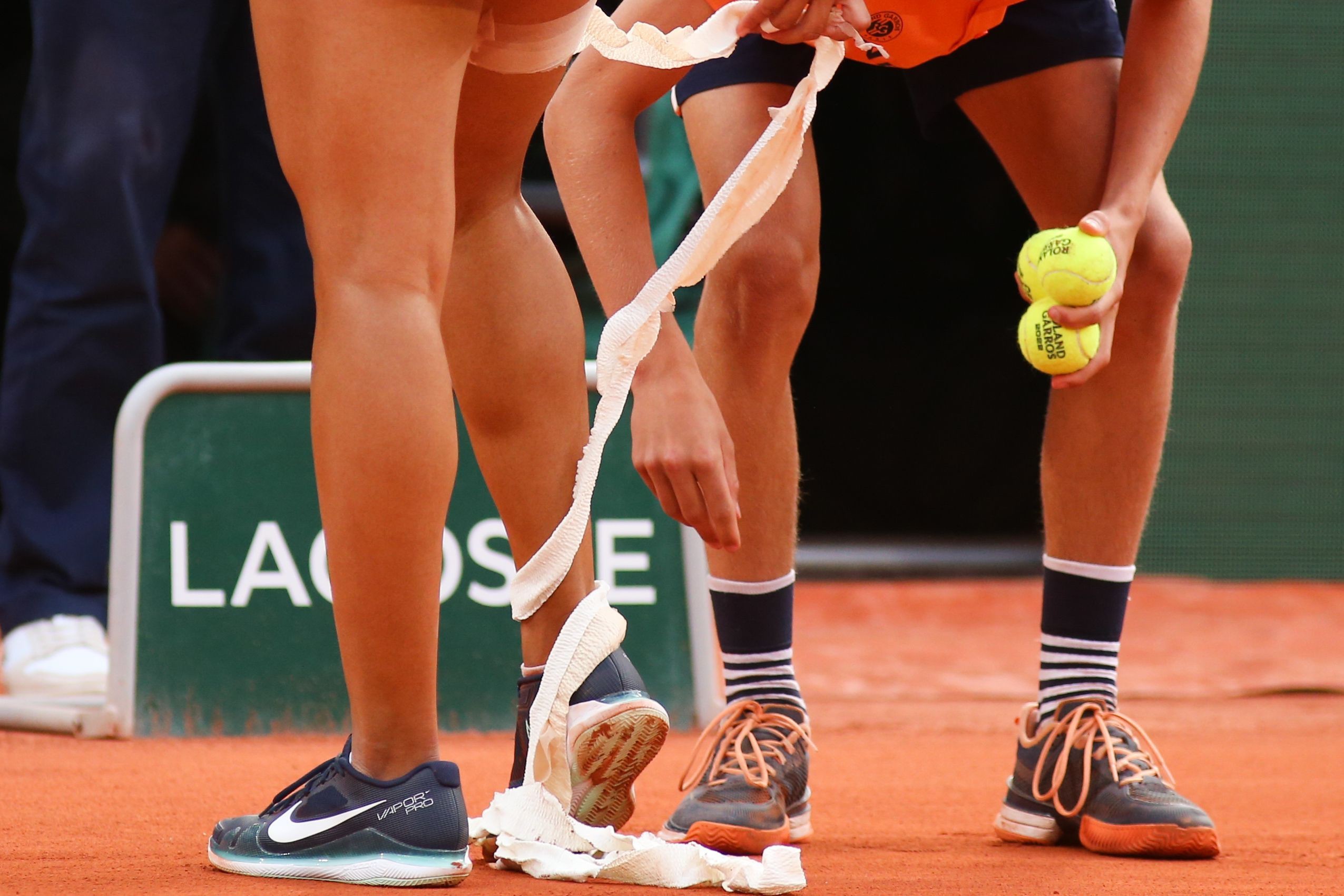 本菲卡最新消息最新